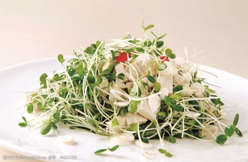 食品宣传海报淮扬菜图片