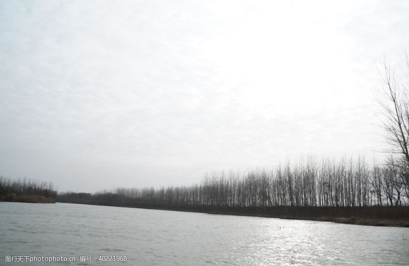 荷塘黄河图片