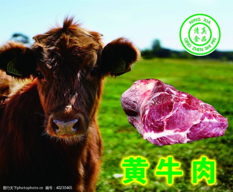 绿色食品黄牛肉图片