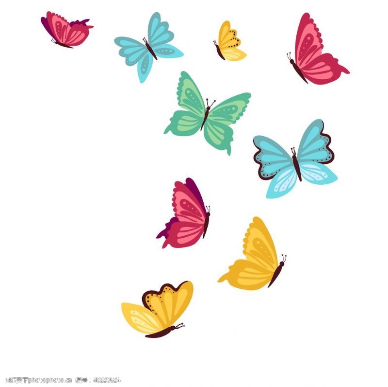 小鸟插画蝴蝶昆虫动物图片