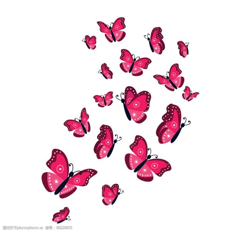 矢量小插图蝴蝶昆虫动物图片