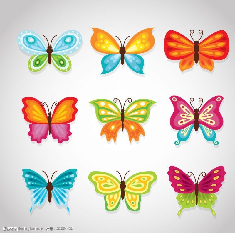 花草展板蝴蝶昆虫动物图片