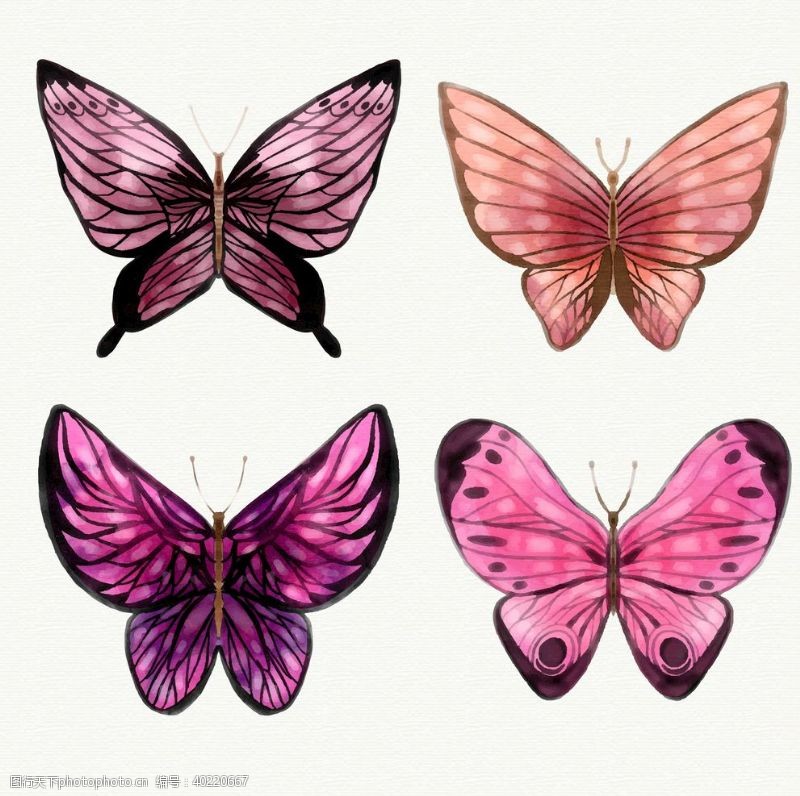 卡通幼儿园展板蝴蝶昆虫动物图片