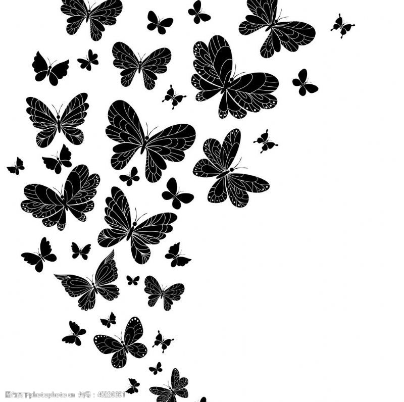 动物园卡通蝴蝶昆虫动物图片