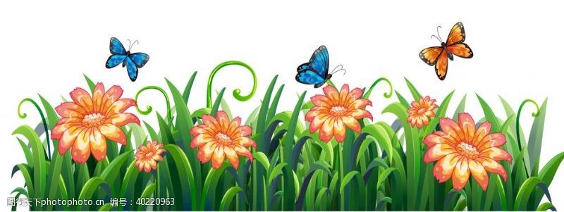 花草展板蝴蝶图片