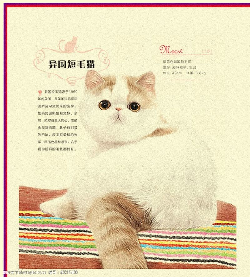 彩铅猫图片