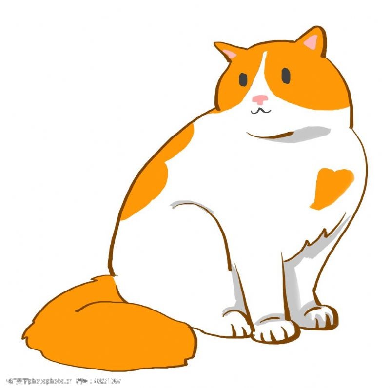 小猫咪图片胖胖的可爱猫咪图片