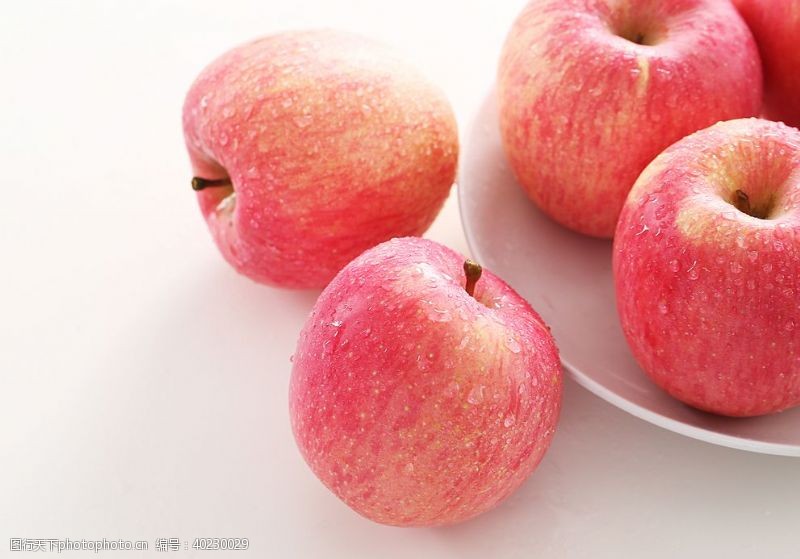 果园果树苹果高清素材图片