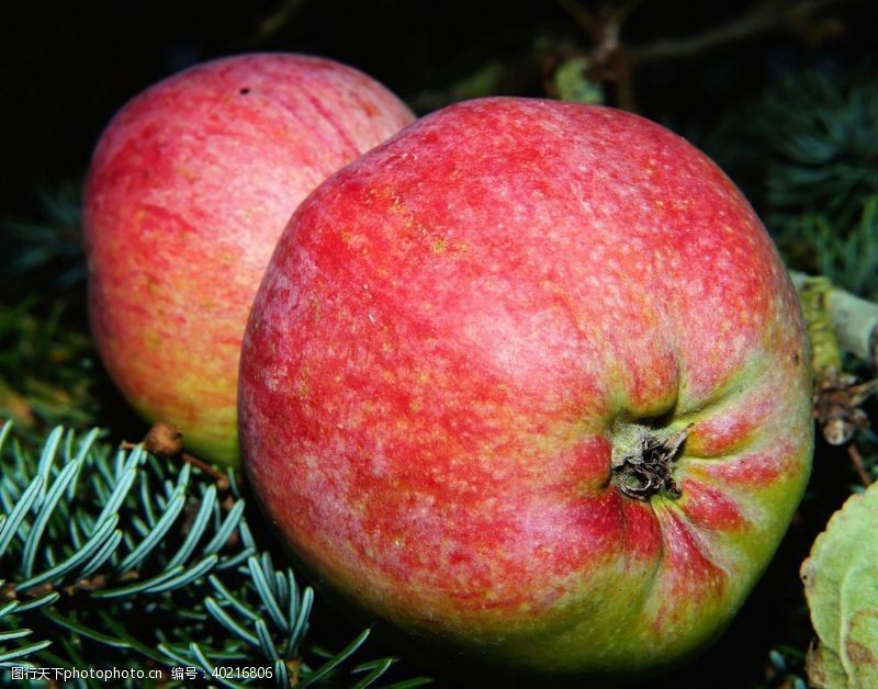 水果宣传单苹果图片