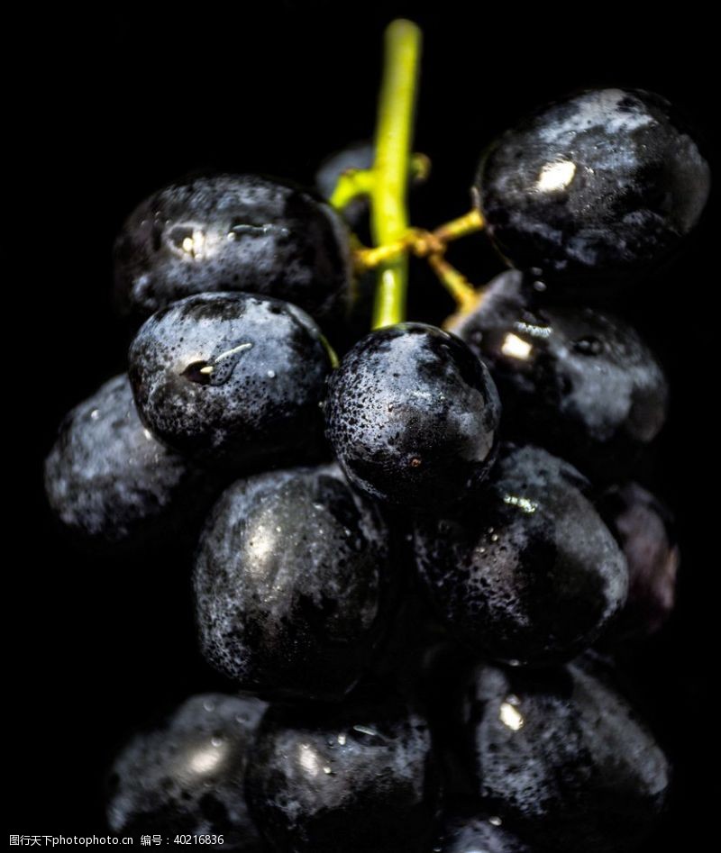 水果活动葡萄图片