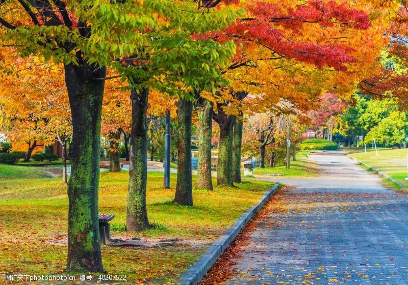 秋日园林风景图片