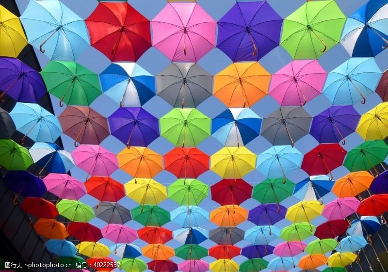 遮阳扇伞图片