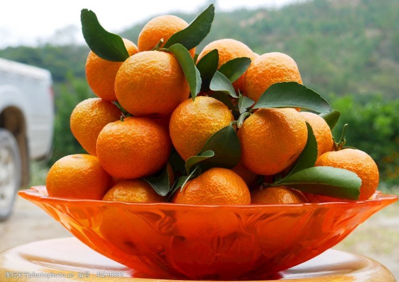 橘子沙糖桔柑橘桔子图片