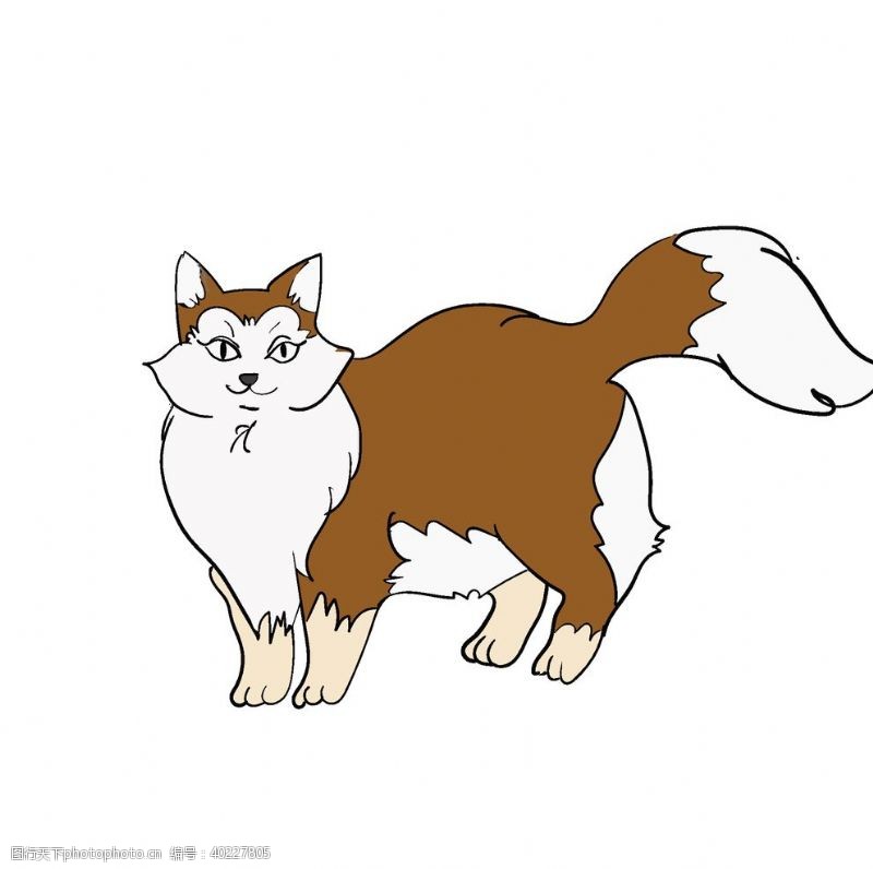 线条插画手绘猫咪素材图片