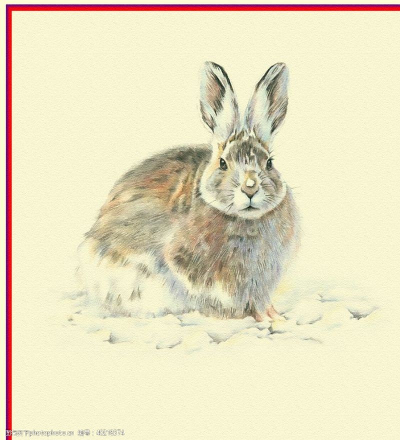 彩铅兔子图片