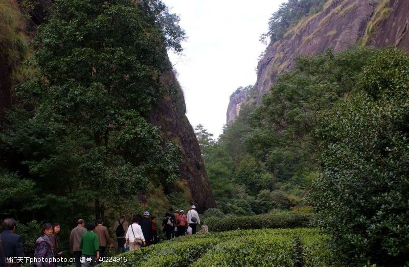 旅游旅行社武夷山图片