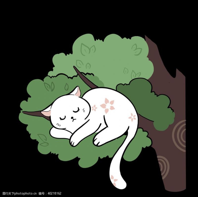 毛茸茸夜晚趴在树上睡觉的白猫图片