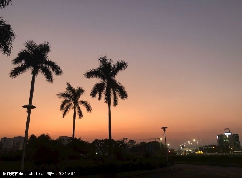 夜晚珠海高新区夜景晚霞图片