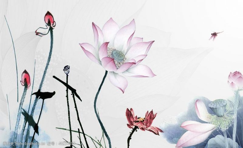 新中式背景墙爱莲说莲花图片