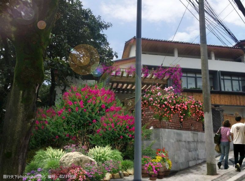 景观植物城镇改造组团绿化角落美化图片