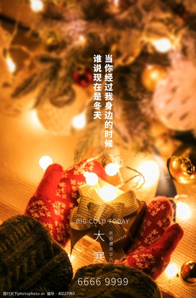传统节日海报大寒图片