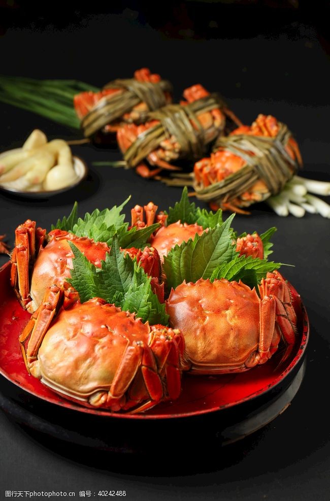 传统菜大闸蟹美食摄影图片