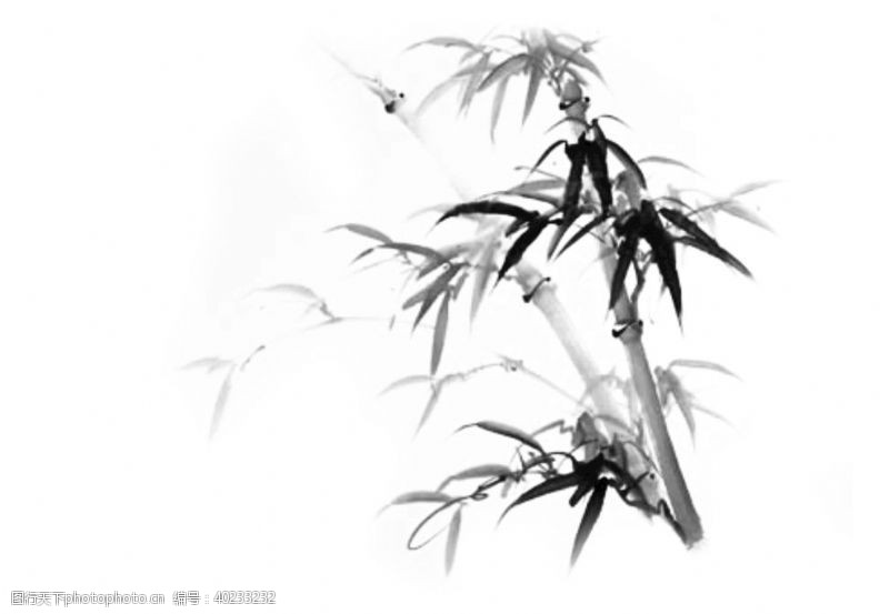 梅子高清中国风水墨竹子图片