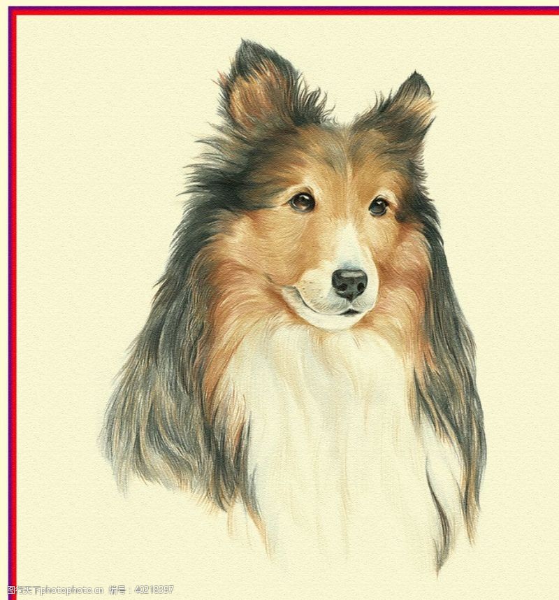 北欧装饰画狗狗图片