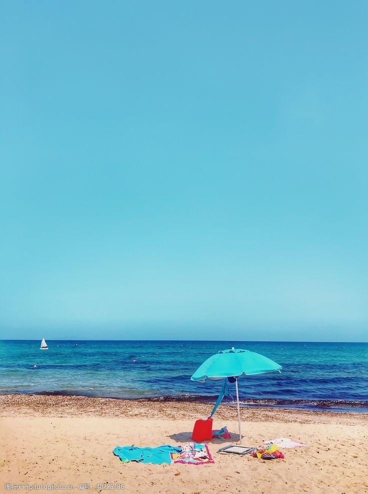 太阳花海边图片