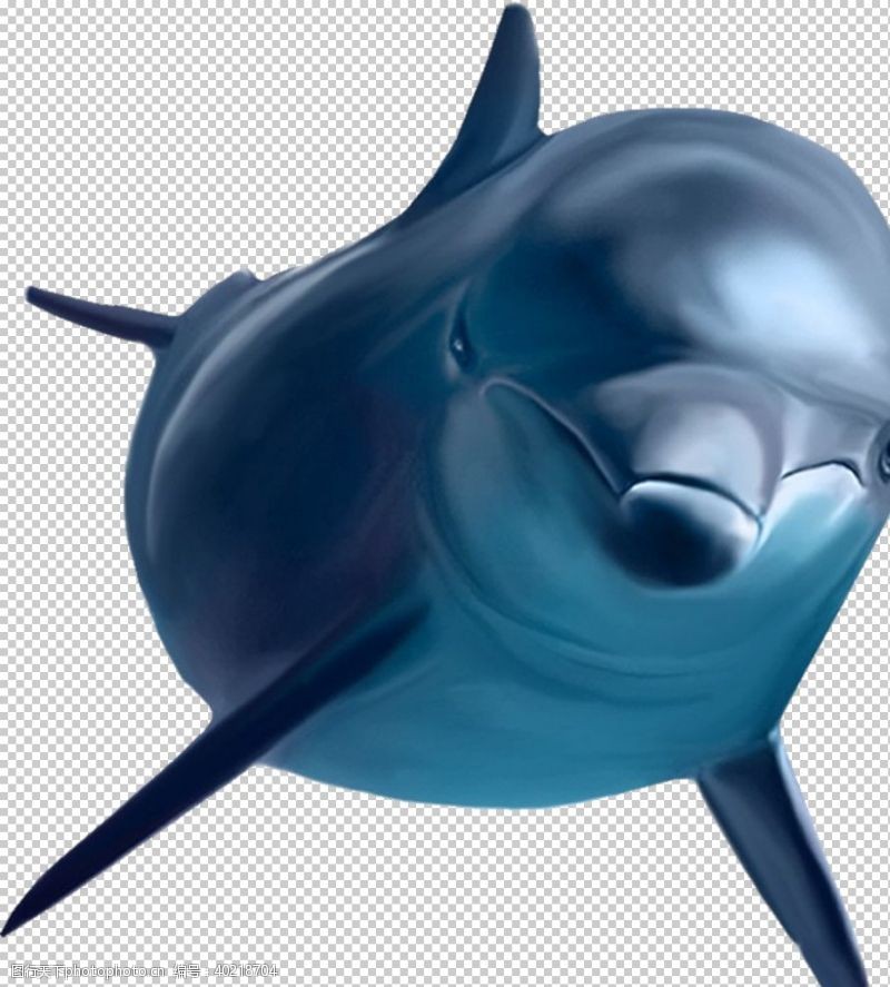 海底世界海豚图片