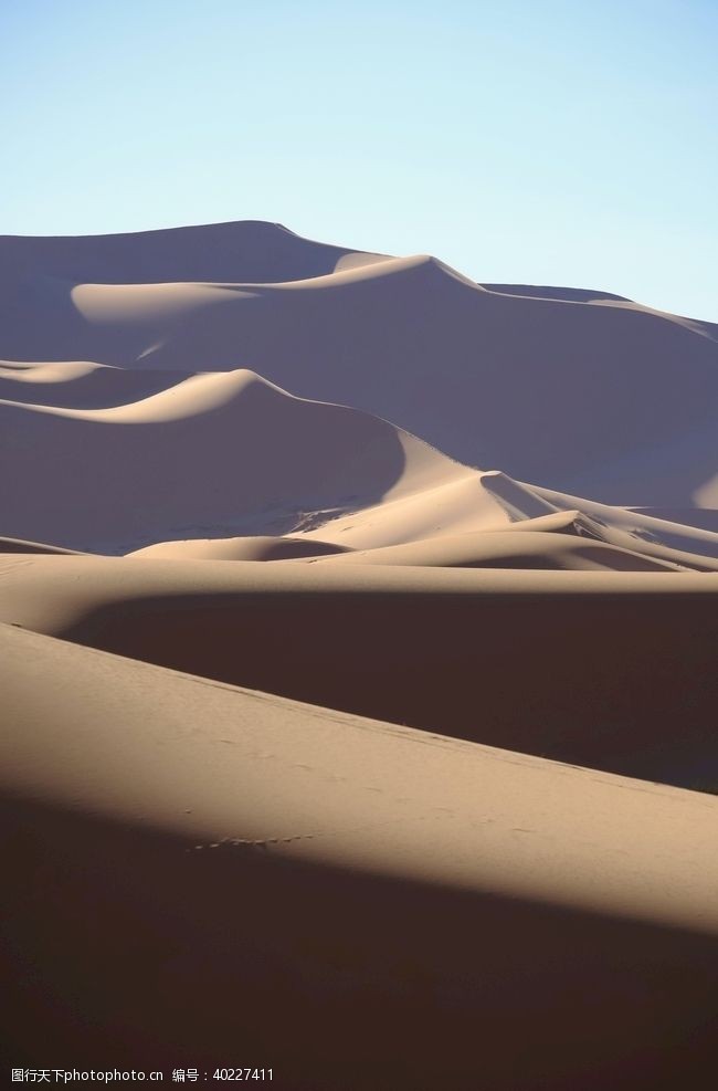 沙漠海图片