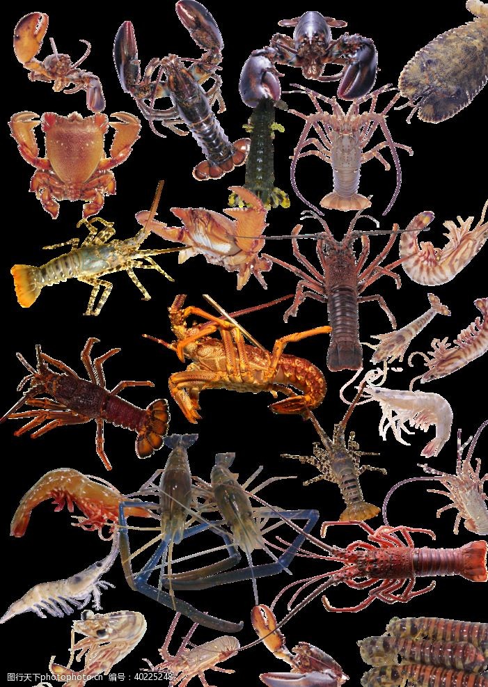 螃蟹海鲜虾大汇聚图片
