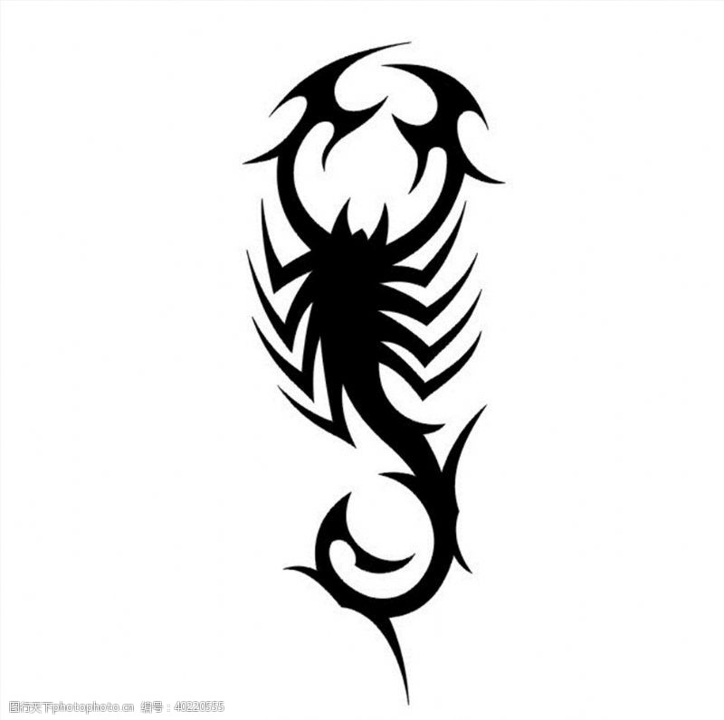 黑白蝎子图图片