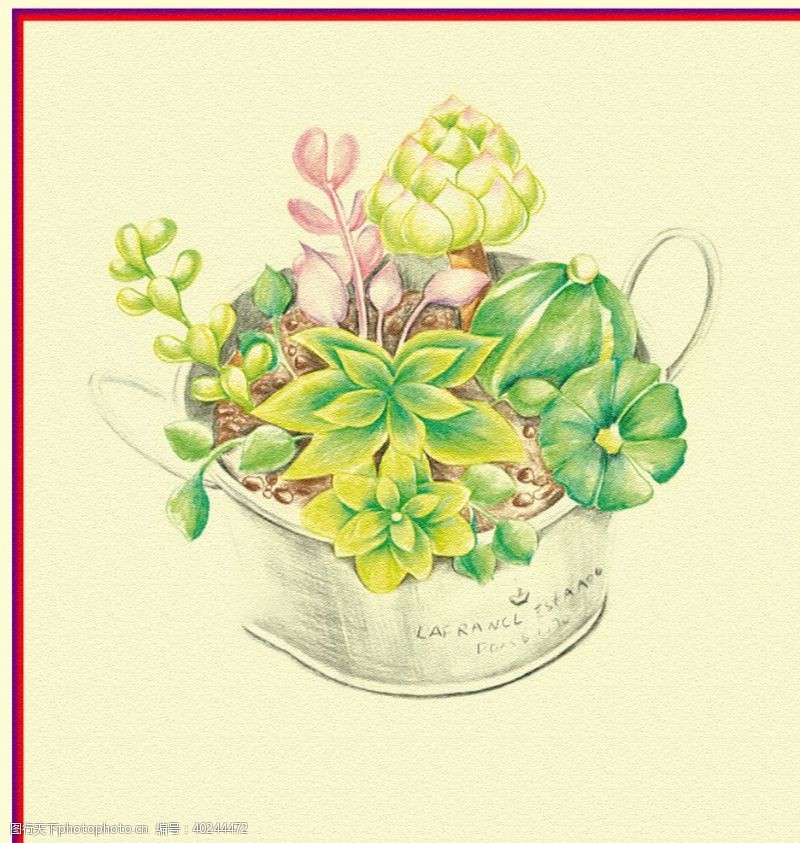 插画植物花朵图片