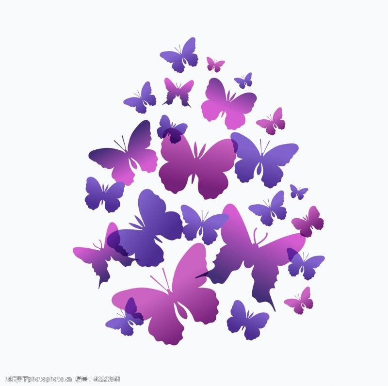 花草展板蝴蝶动物图片