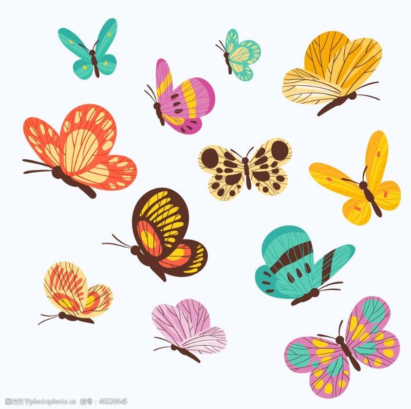 海洋生物蝴蝶昆虫动物图片