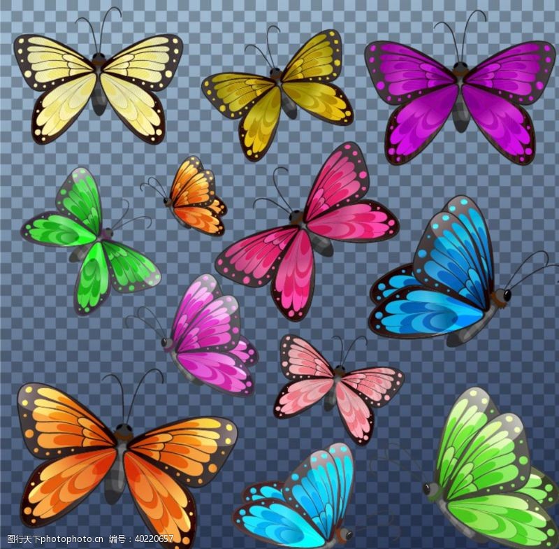 手绘图标蝴蝶昆虫动物图片