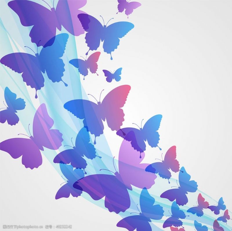 彩绘蝴蝶昆虫动物图片