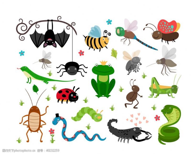 彩绘世界蝴蝶昆虫动物图片