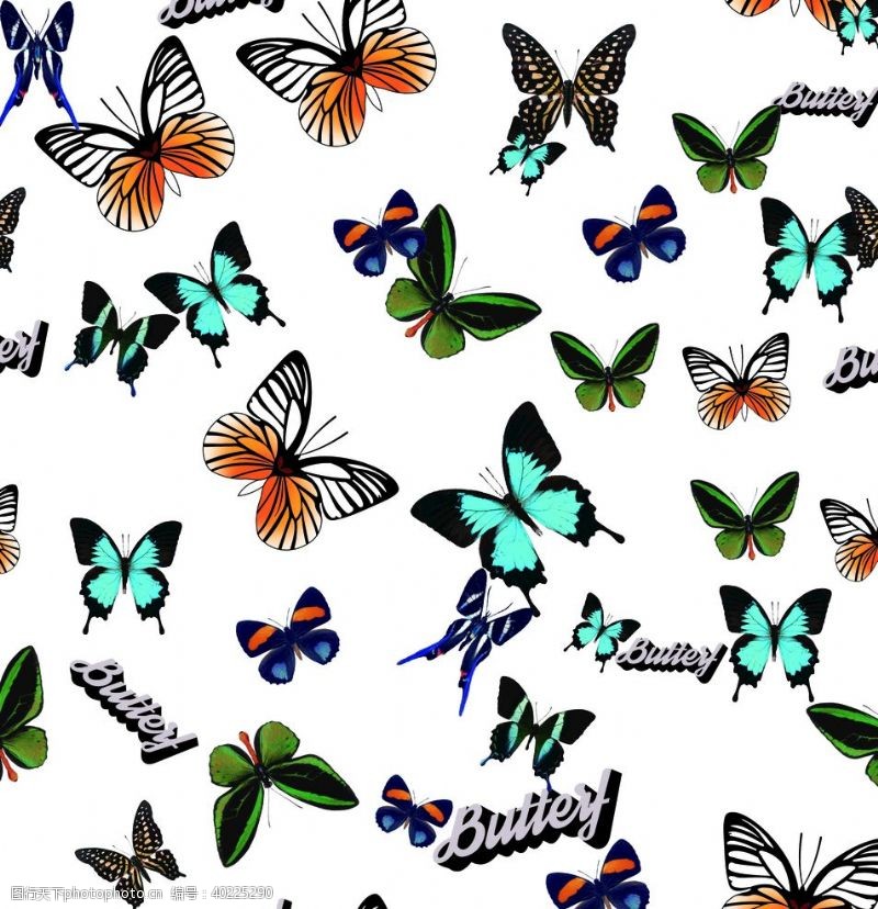 字母设计蝴蝶图片