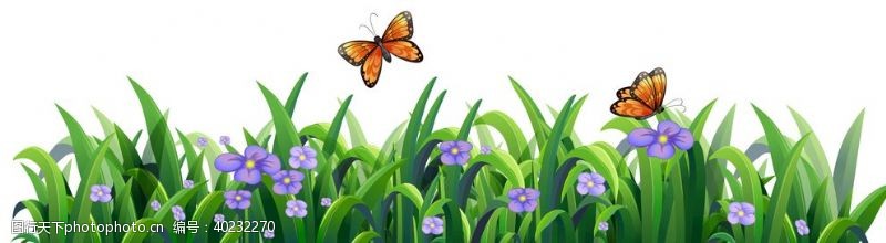 动物素描蝴蝶图片