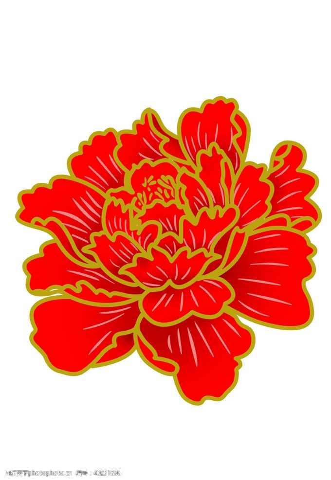 红牡丹牡丹花图片