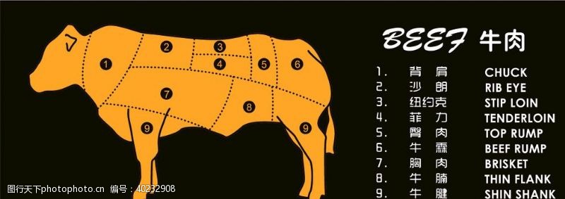 分解牛肉分割图图片