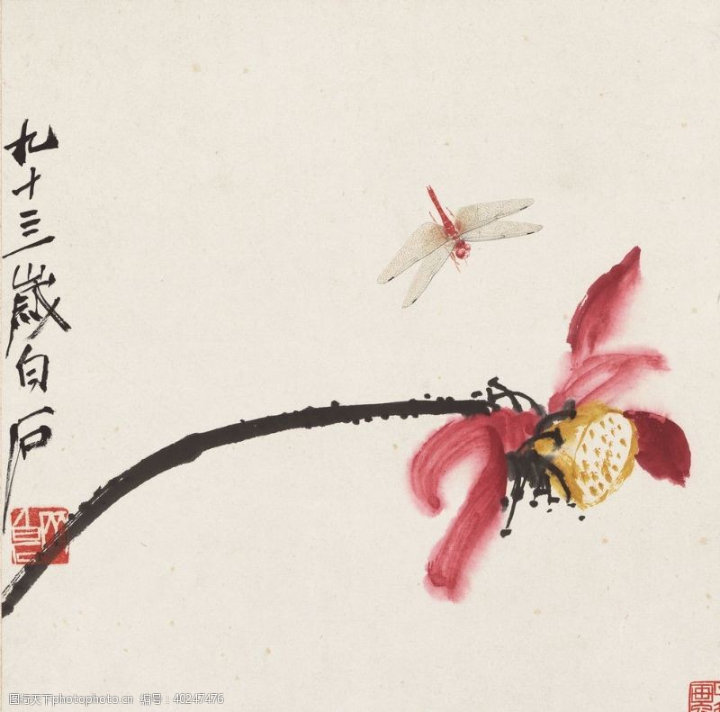 中国水墨山水齐白石国画荷花蜻蜓图图片