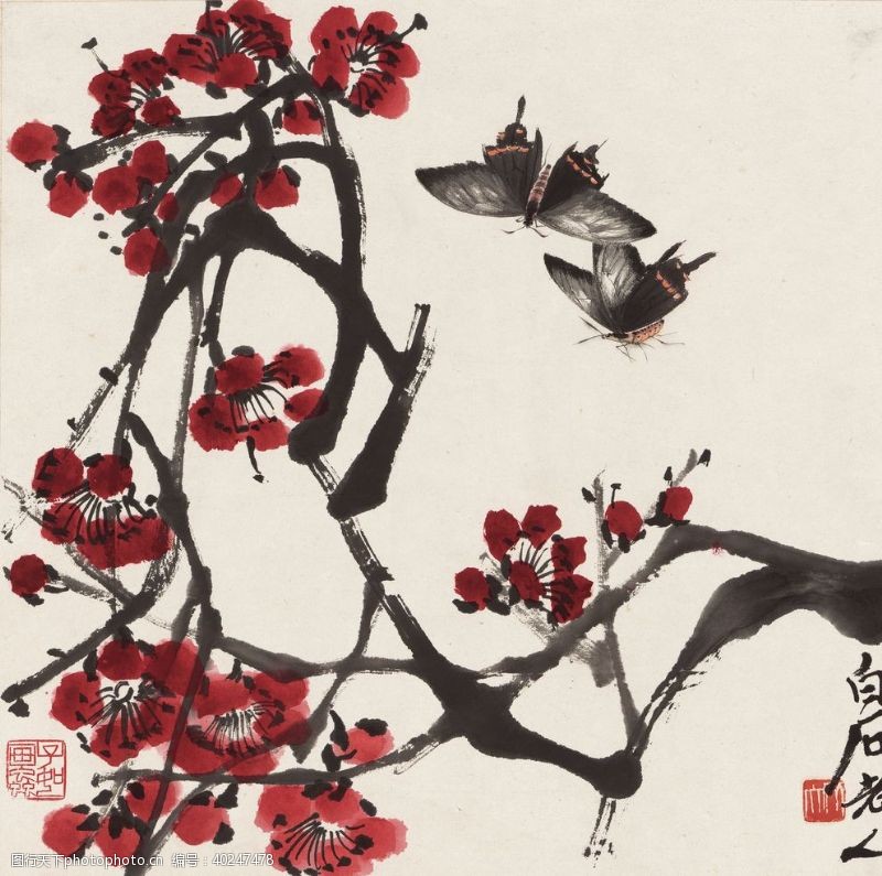 白梅齐白石国画红梅双蝶图图片