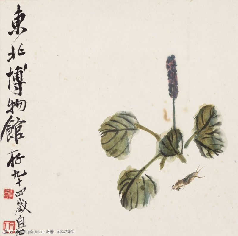 中国现代人物齐白石国画蝼蛄红蓼图图片