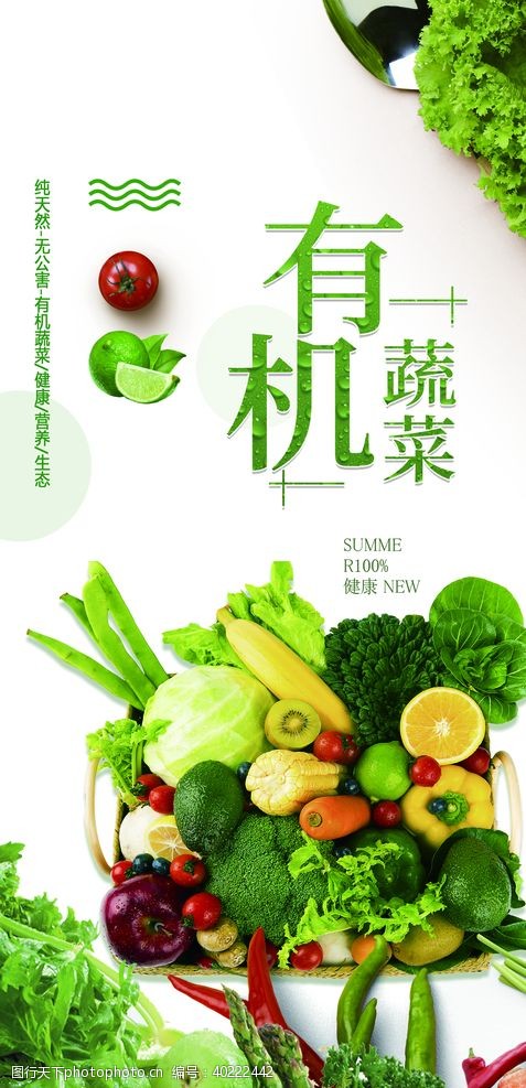 绿色展板蔬菜图片