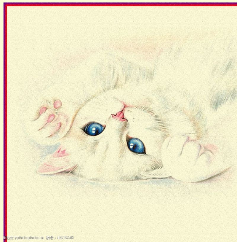 绘画书法小猫图片