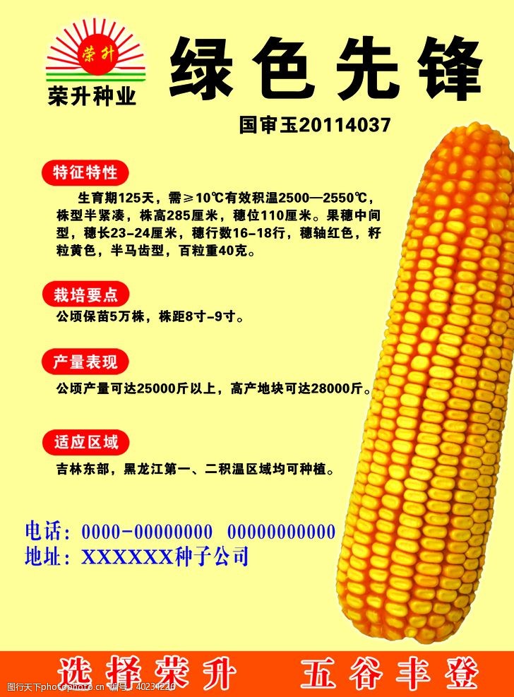 农业玉米图片