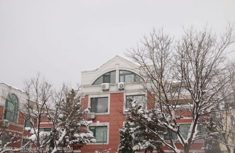 桦木别墅雪景图片